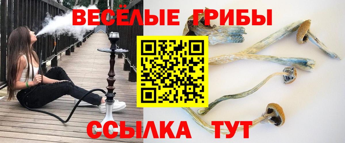Галлюциногенные грибы мухоморы Ялуторовск