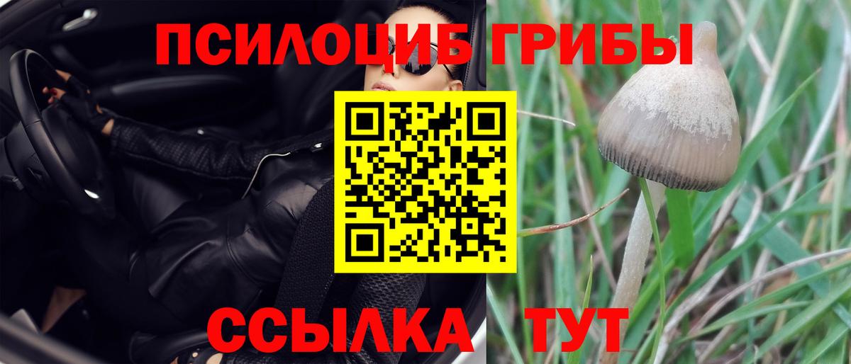 Псилоцибиновые грибы Magic Shrooms  Вход с VPN  наркотики  Ялуторовск 